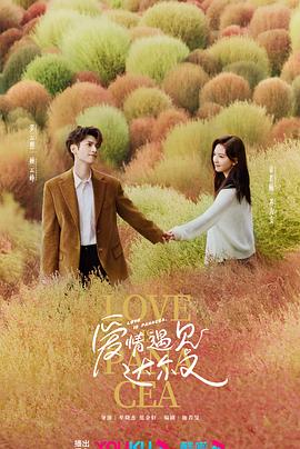 专门做网站优化服务